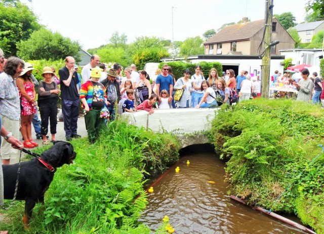 Studying the form at Angarrack Duck Races 2017
